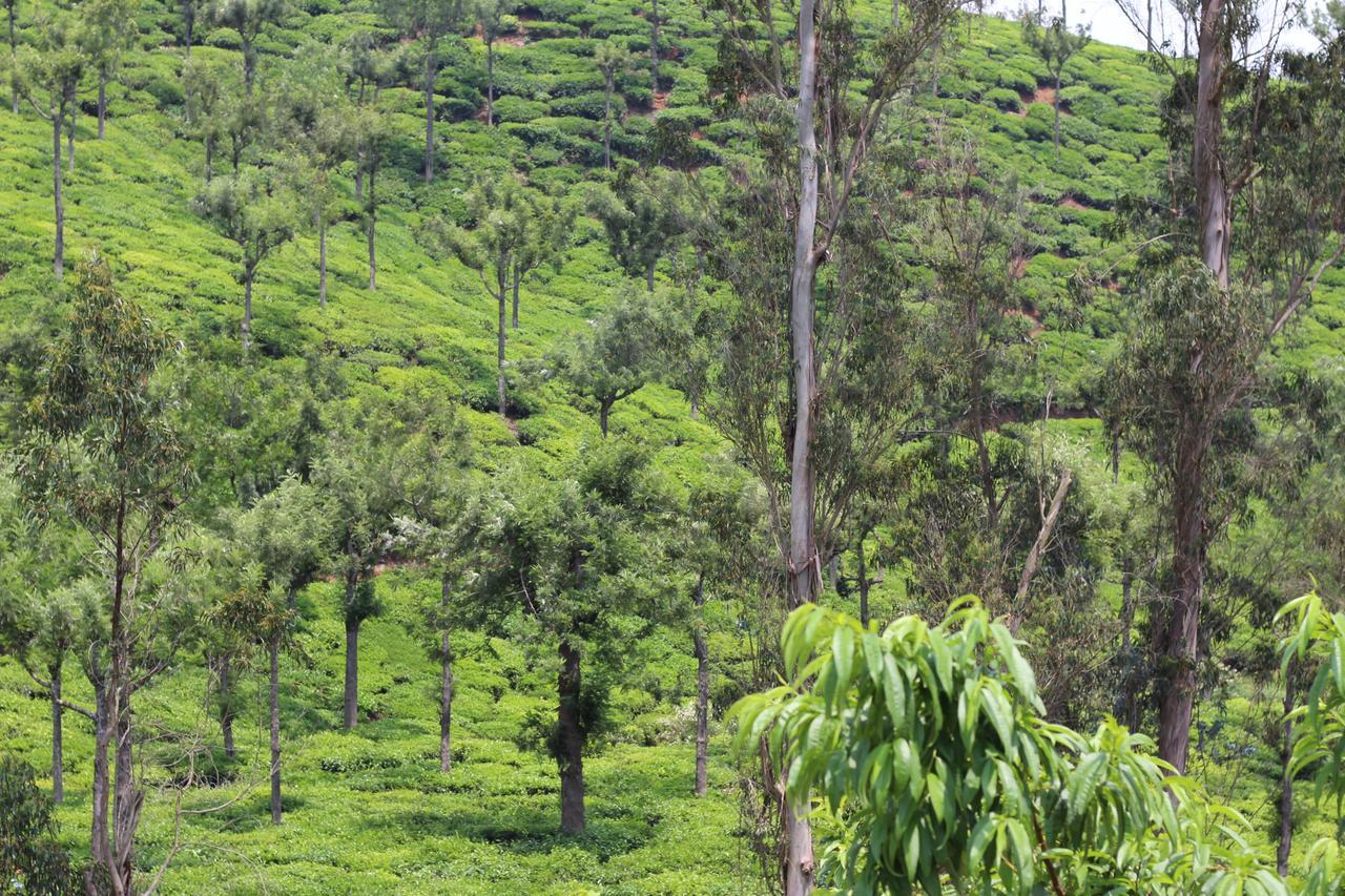 Rustling River Resort Ooty Buitenkant foto