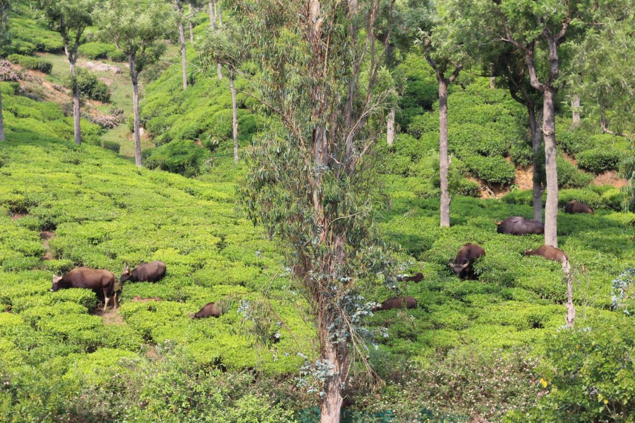 Rustling River Resort Ooty Buitenkant foto